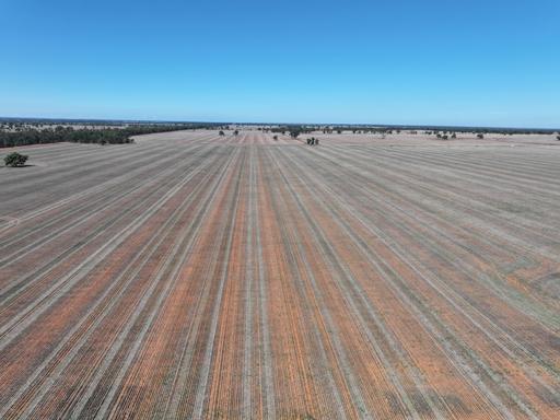 Shannonvale & Elmore Strontian Road, Boree Creek NSW 2652