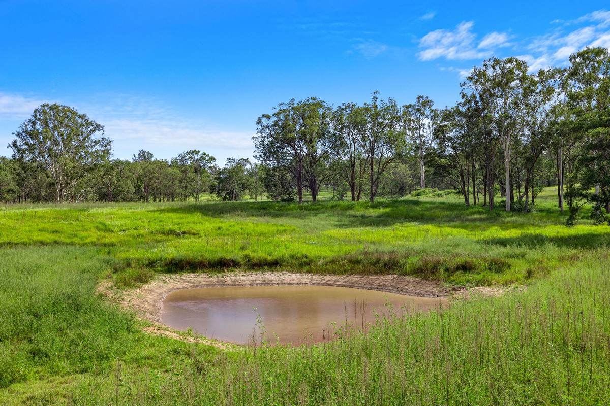 113 Bruxner Highway, Mummulgum For Sale by Farmbuy.com - image 23