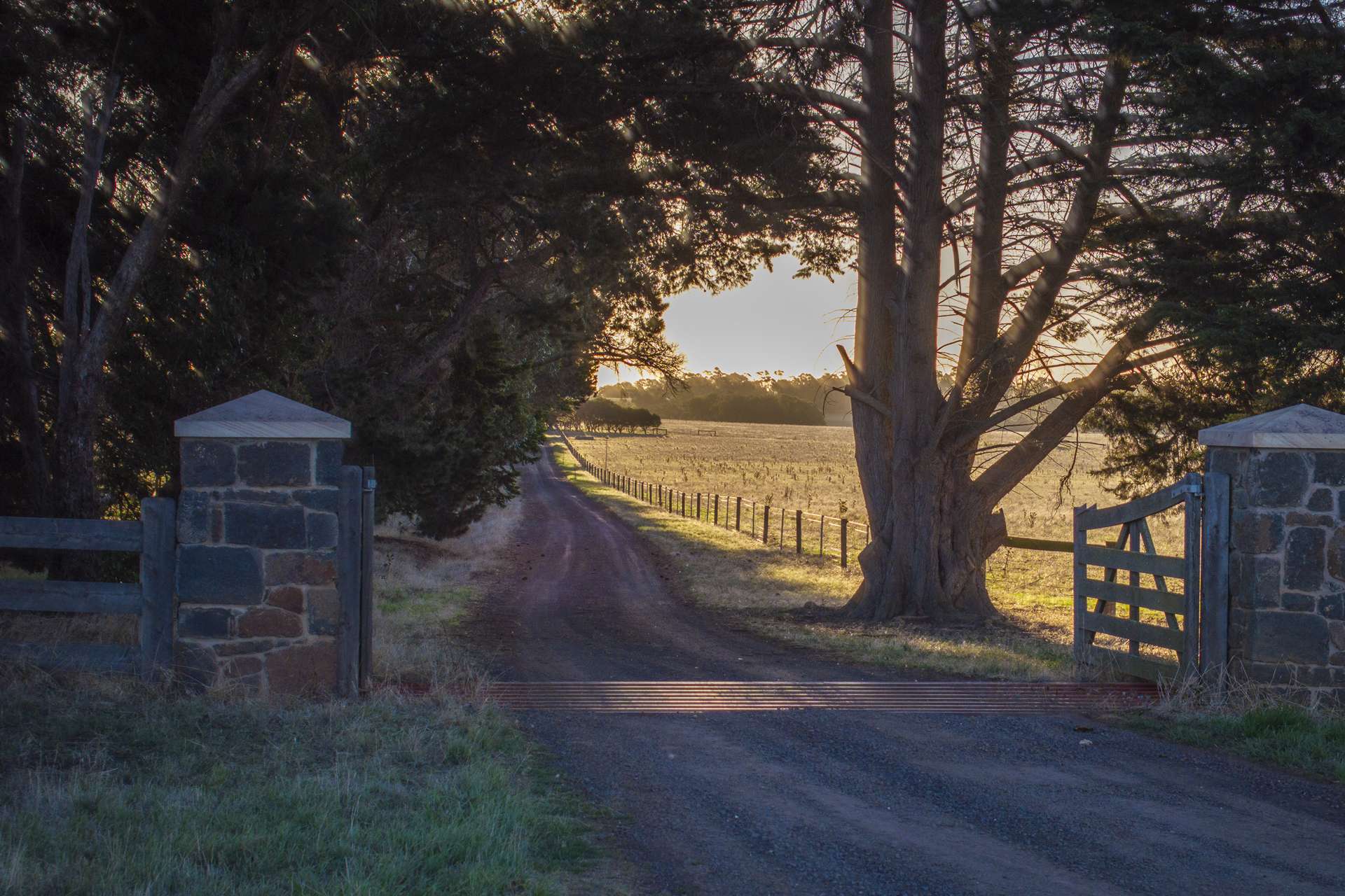 1154 Stockyard Hill Road, Stockyard Hill For Sale by Farmbuy.com - image 6