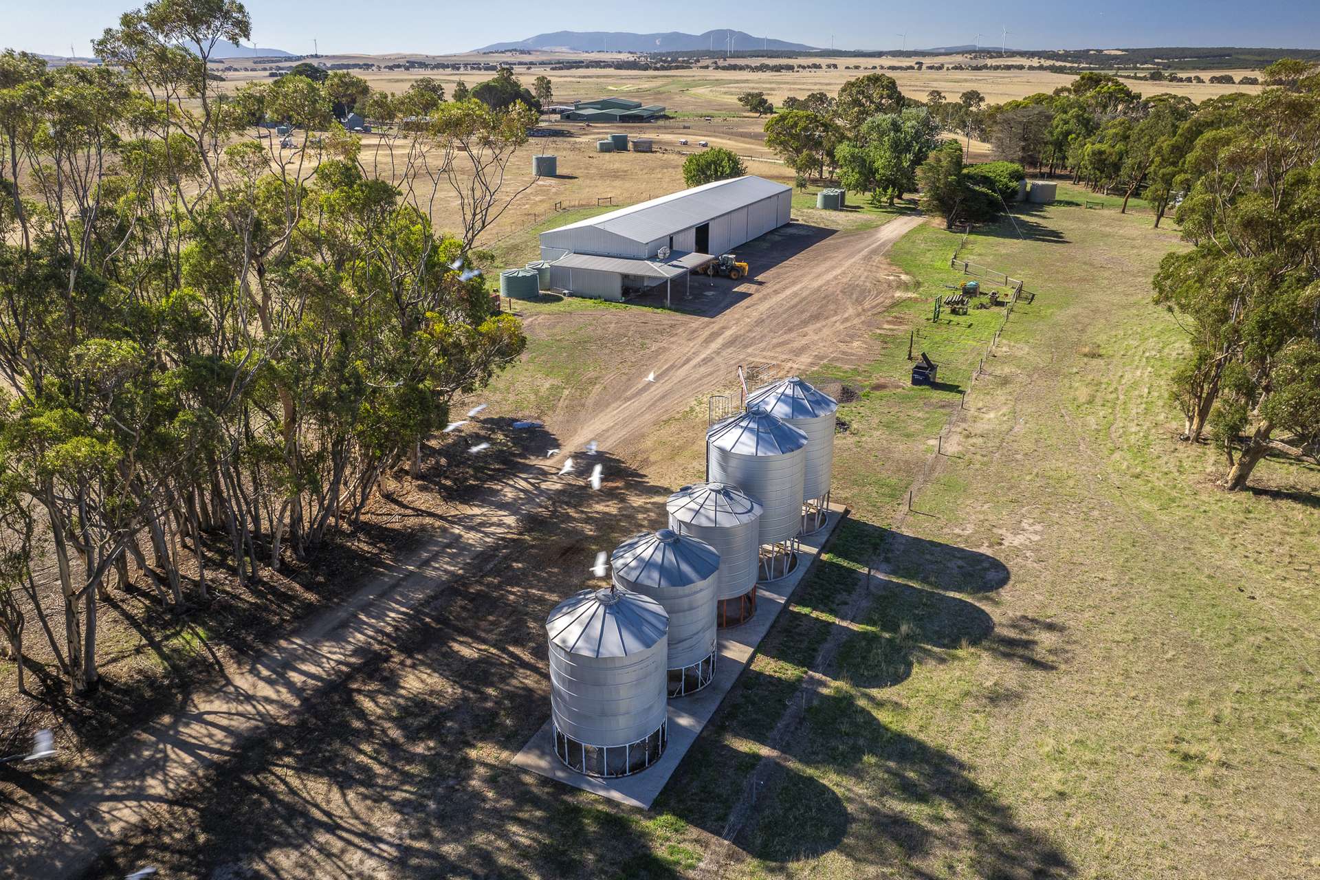 1154 Stockyard Hill Road, Stockyard Hill For Sale by Farmbuy.com - image 18