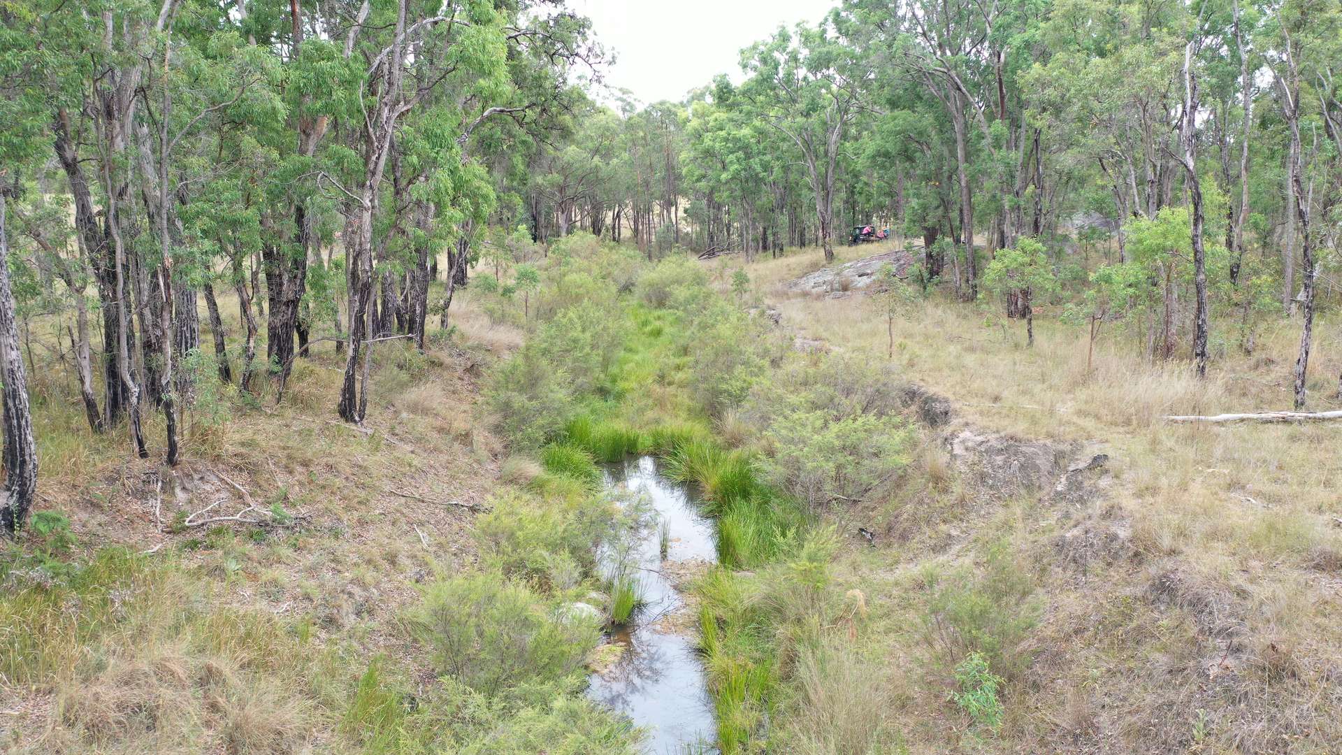 631 Glenelg Road, Bundarra For Sale by Farmbuy.com - image 4