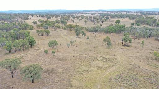 Farm For Sale - NSW - Bundarra - 2359 - LOW COST GRAZING PROPERTY WITH PLENTY OF UPSIDE 