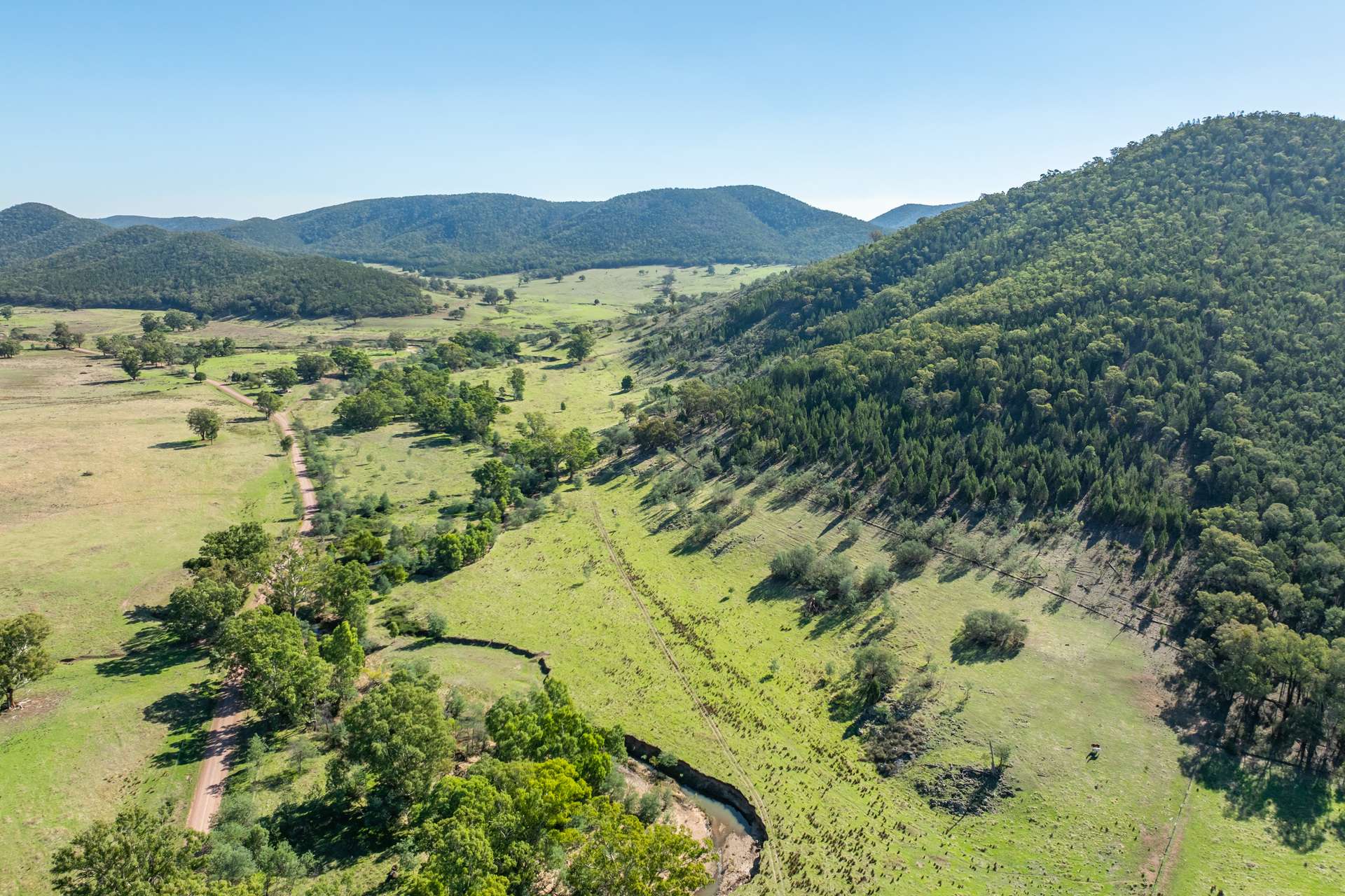 1235 Kangarooby Road, Gooloogong For Sale by Farmbuy.com - image 27