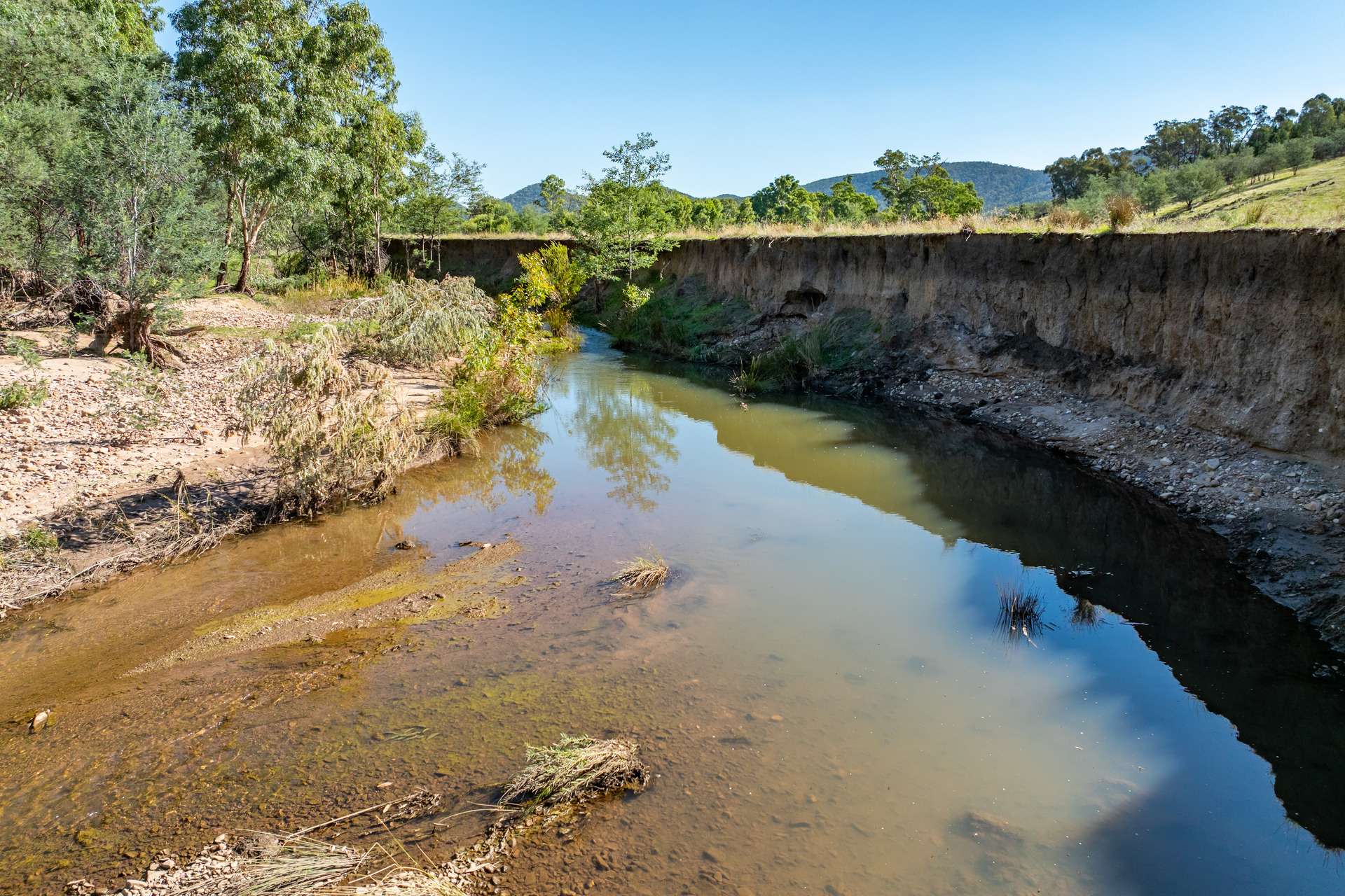 1235 Kangarooby Road, Gooloogong For Sale by Farmbuy.com - image 25