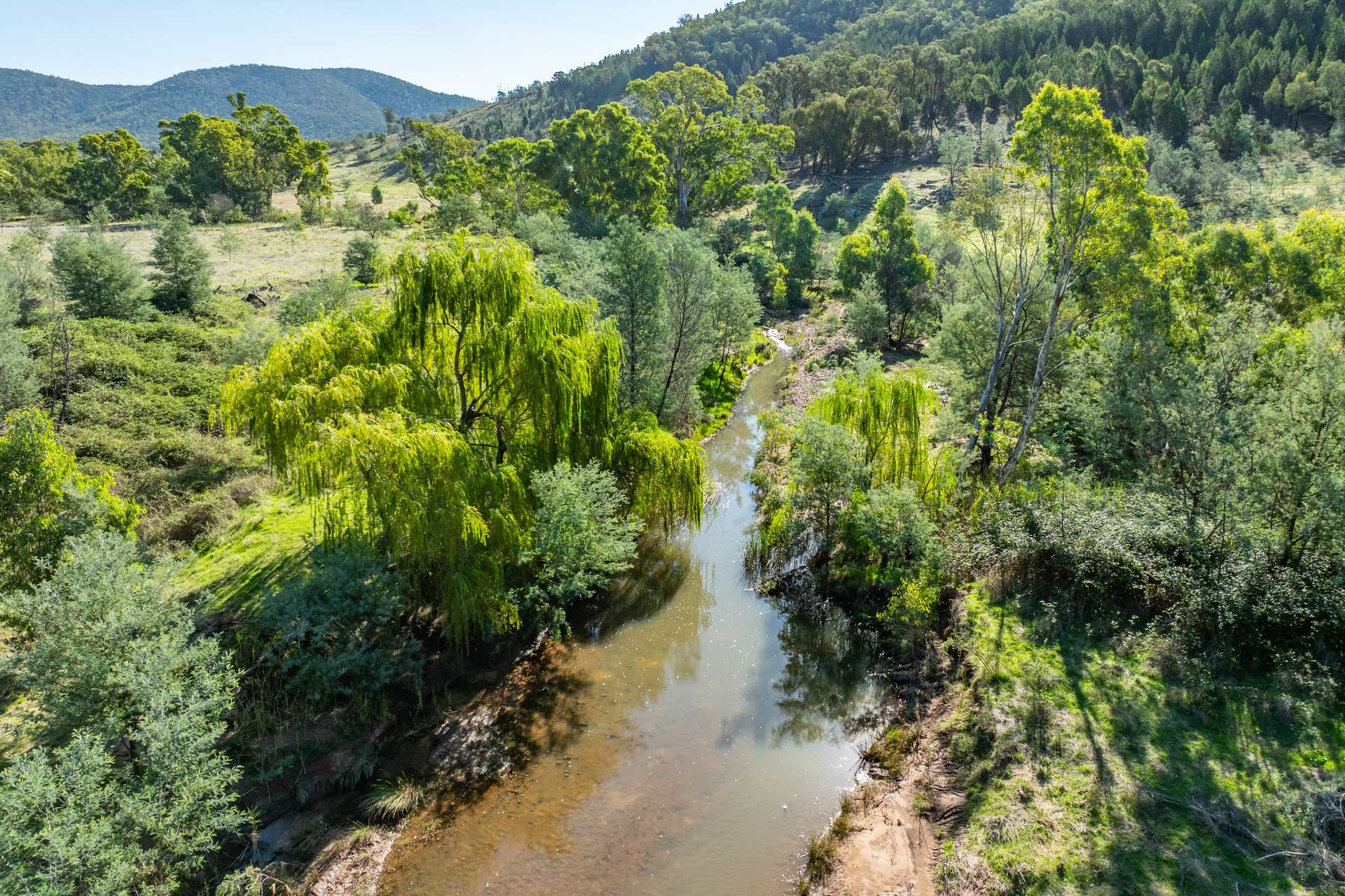 1235 Kangarooby Road, Gooloogong For Sale by Farmbuy.com - image 24