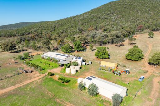 1235 Kangarooby Road, Gooloogong NSW 2805