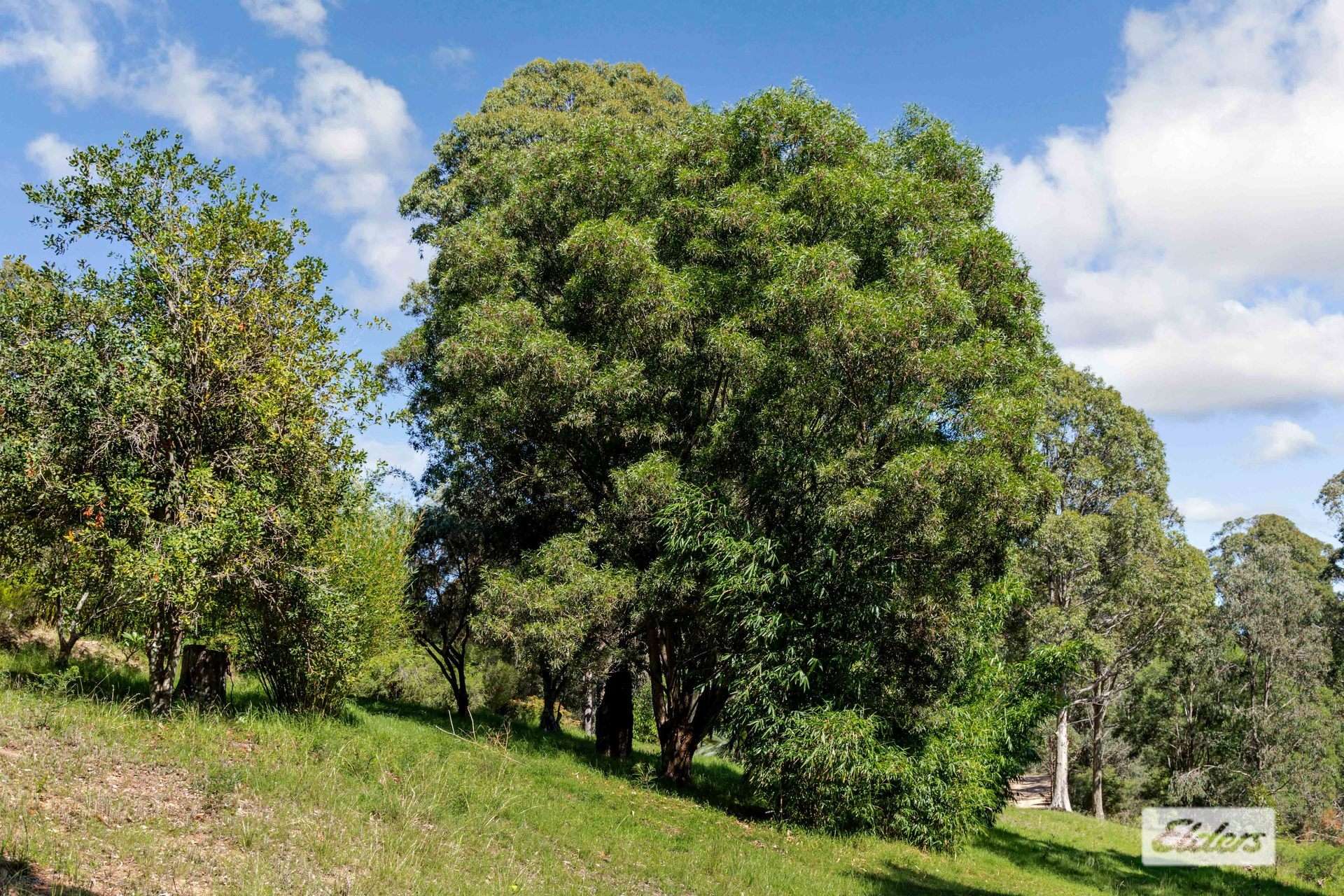 Lot 60 Egans Road, Runnyford For Sale by Farmbuy.com - image 7