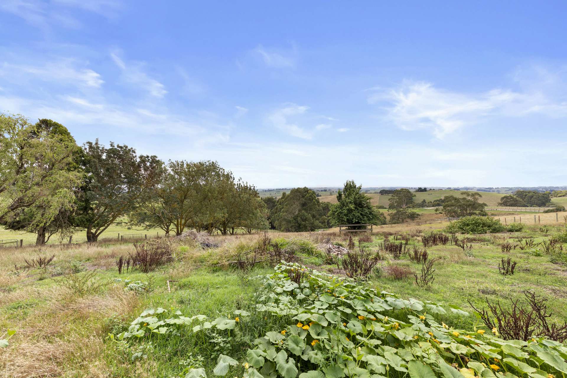2045 Drouin-Korumburra Road, Poowong For Sale by Farmbuy.com - image 24