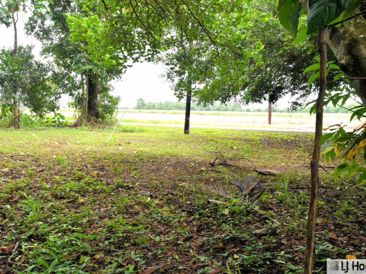 799 Davidson Road, Euramo For Sale by Farmbuy.com - image 10