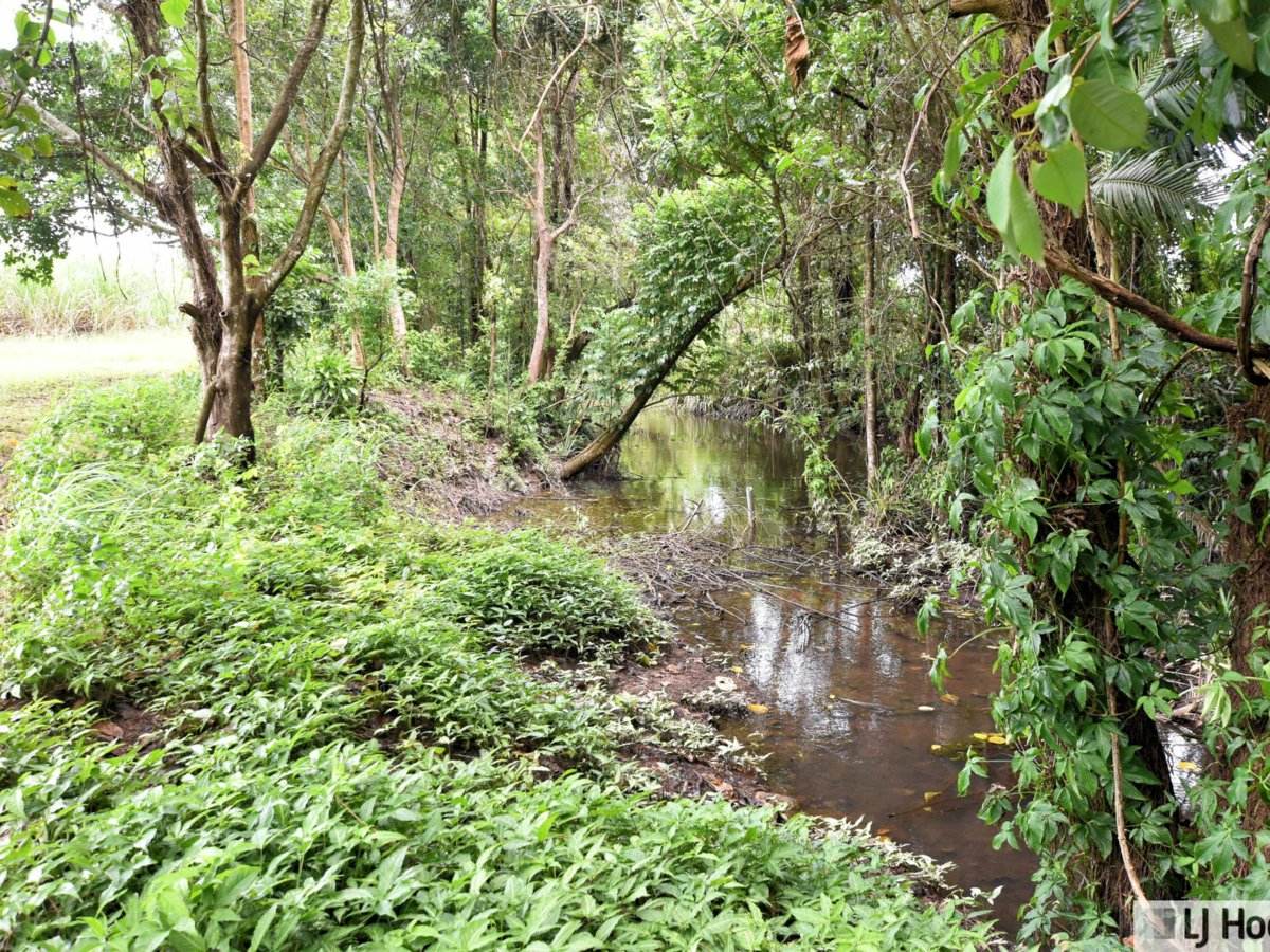 799 Davidson Road, Euramo For Sale by Farmbuy.com - image 5