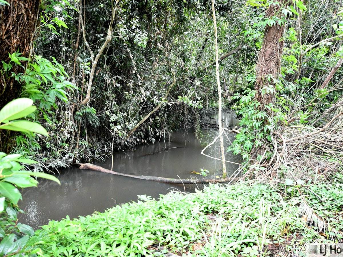 799 Davidson Road, Euramo For Sale by Farmbuy.com - image 6