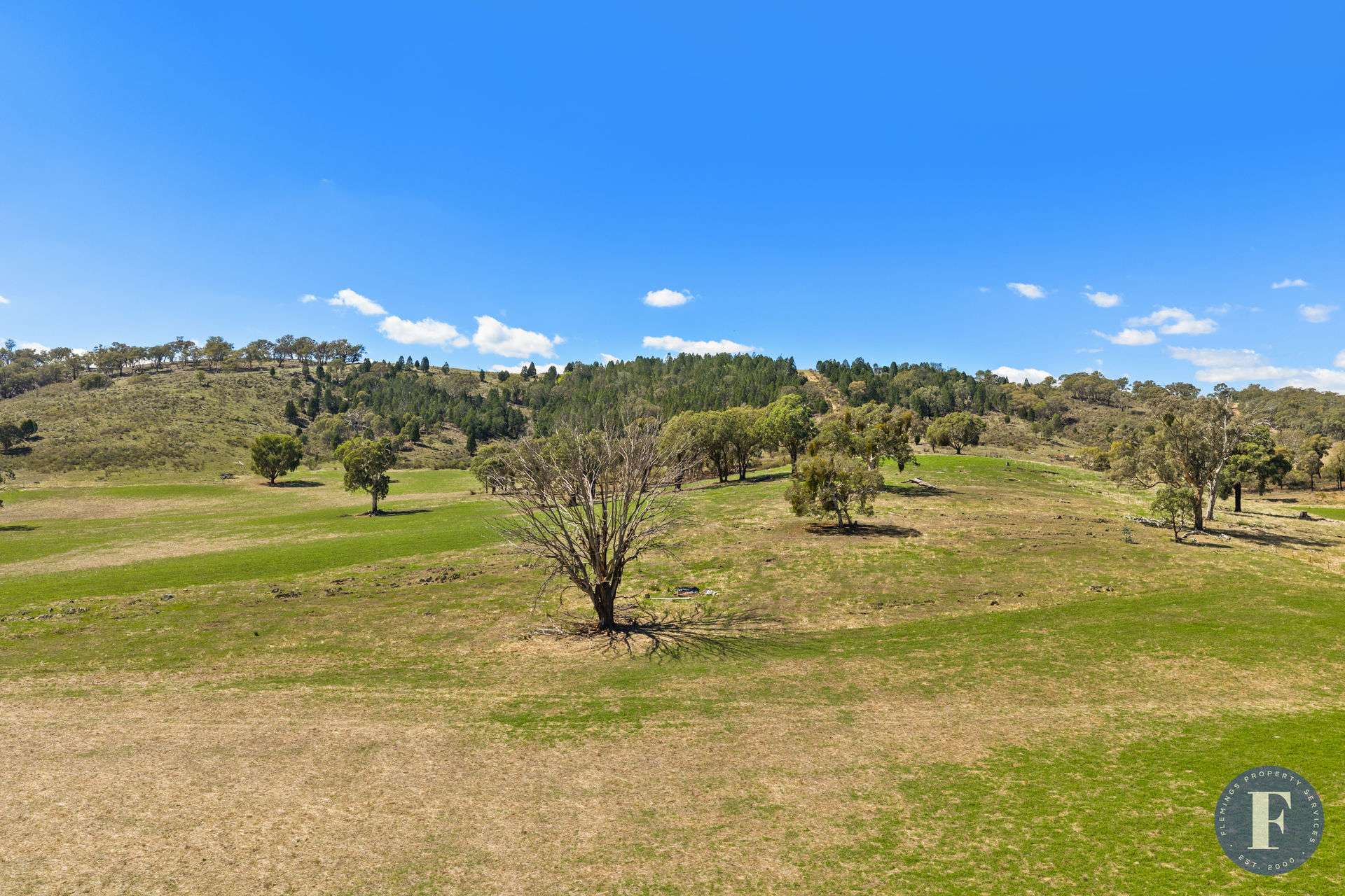 2656 Taylors Flat Road, Taylors Flat For Sale by Farmbuy.com - image 6