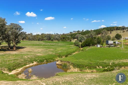 Farm For Sale - NSW - Taylors Flat - 2586 - 115 Acres* of Opportunity – Crop, Graze or Create Your Dream 