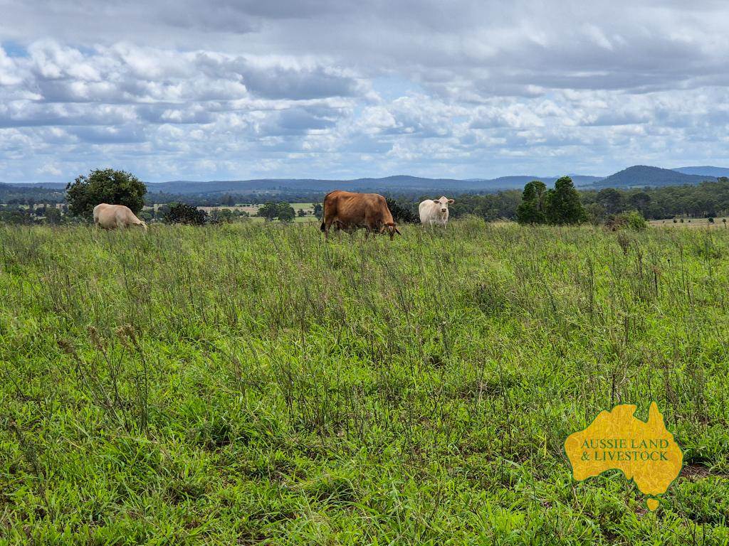 296 Cloyna West Road, Cloyna For Sale by Farmbuy.com - image 17