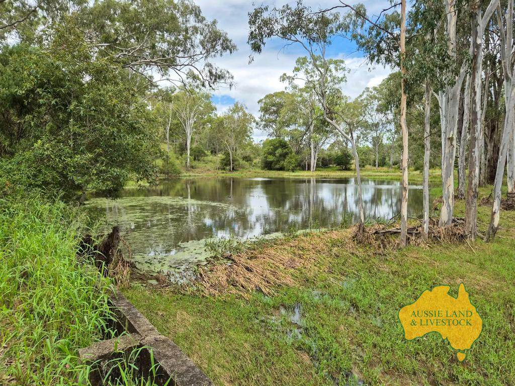 296 Cloyna West Road, Cloyna For Sale by Farmbuy.com - image 21