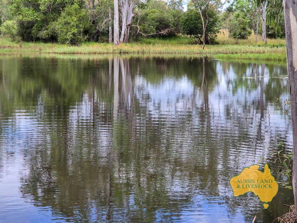 296 Cloyna West Road, Cloyna For Sale by Farmbuy.com - image 4