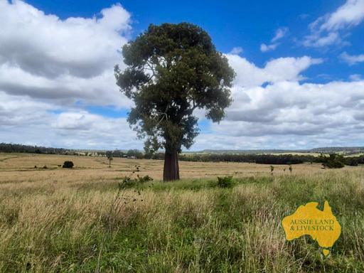 296 Cloyna West Road, Cloyna QLD 4605