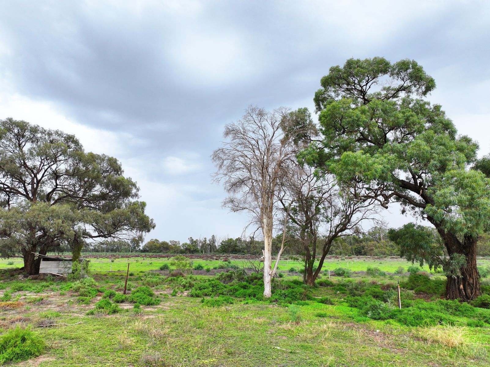 87 Blake Road, Iraak For Sale by Farmbuy.com - image 6