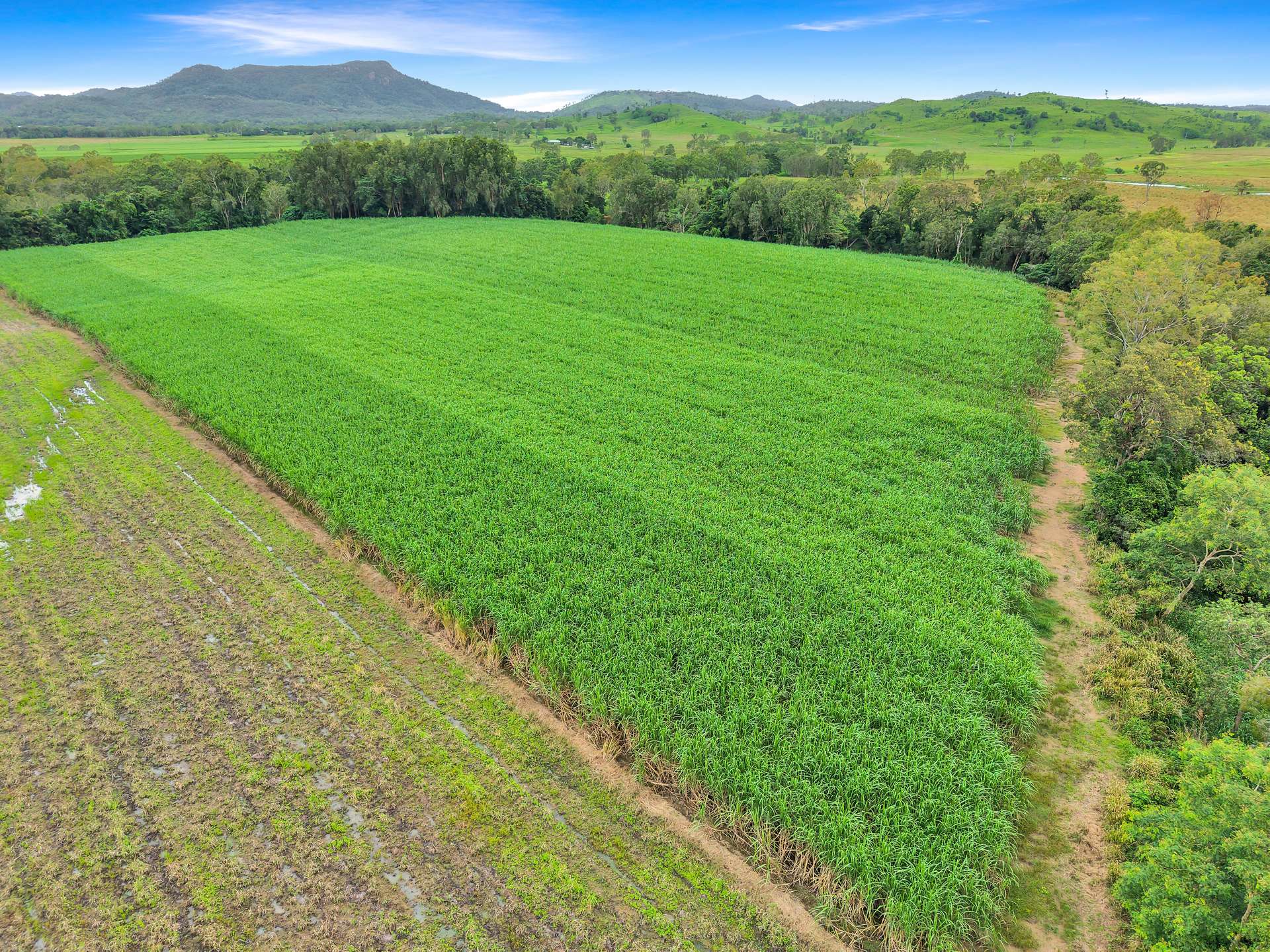 Lot 2 Rutlands Road, Kuttabul For Sale by Farmbuy.com - image 9