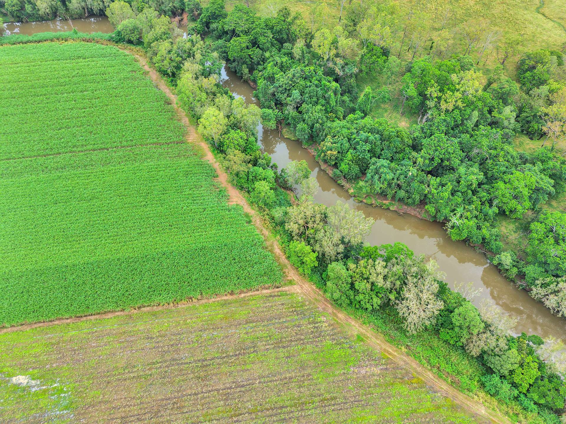 Lot 2 Rutlands Road, Kuttabul For Sale by Farmbuy.com - image 6