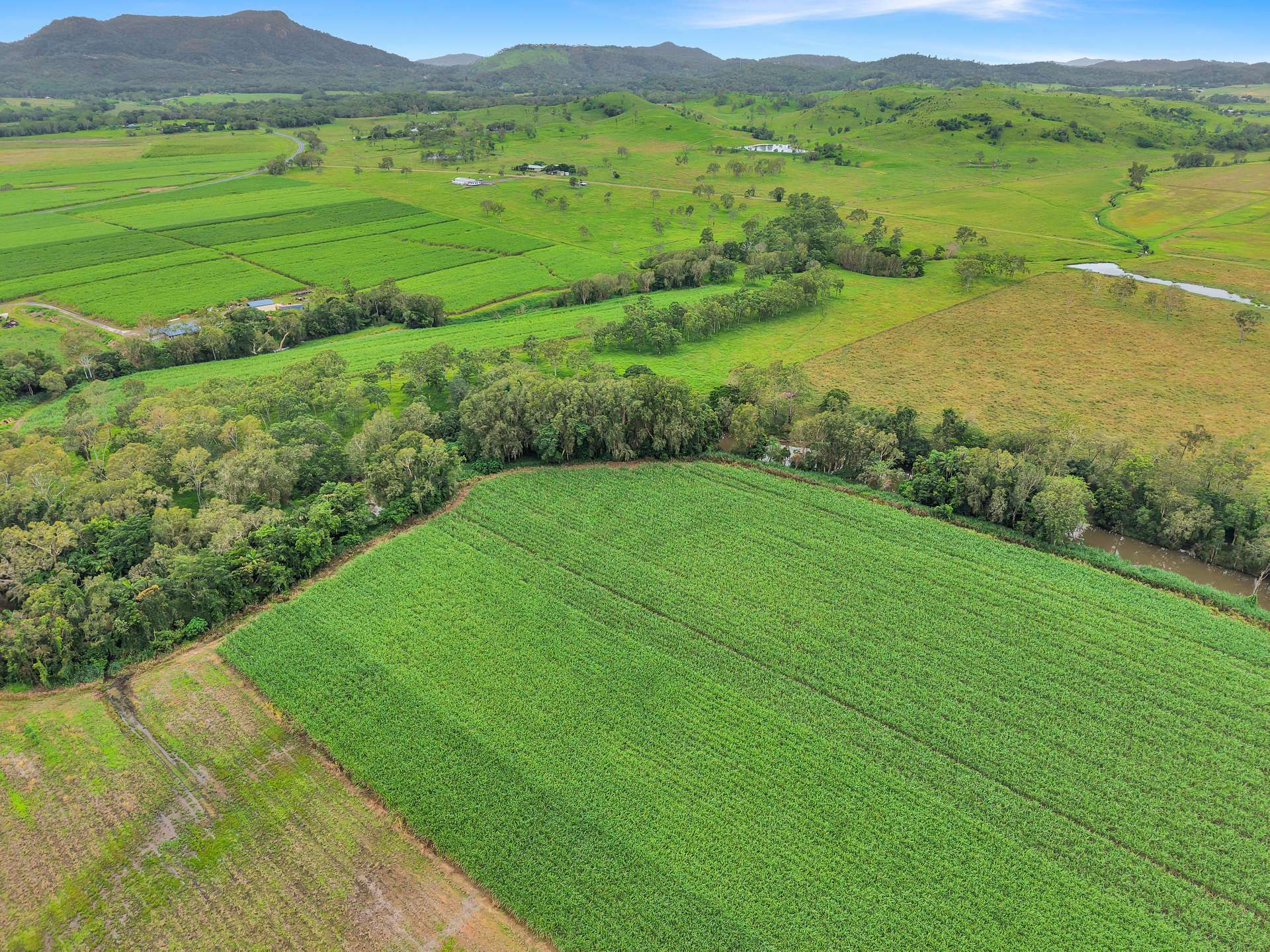 Lot 2 Rutlands Road, Kuttabul For Sale by Farmbuy.com - image 5