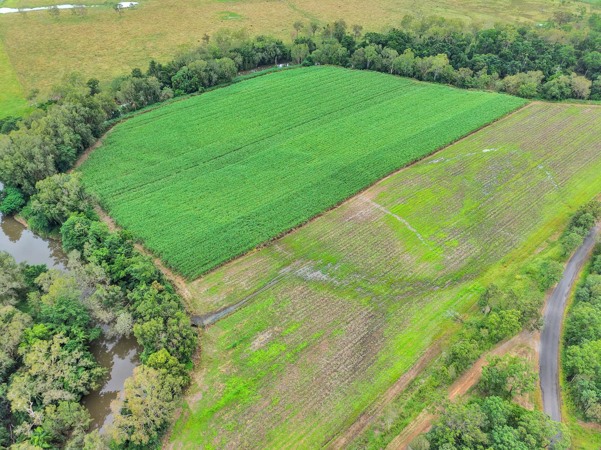 Lot 2 Rutlands Road, Kuttabul For Sale by Farmbuy.com - image 2