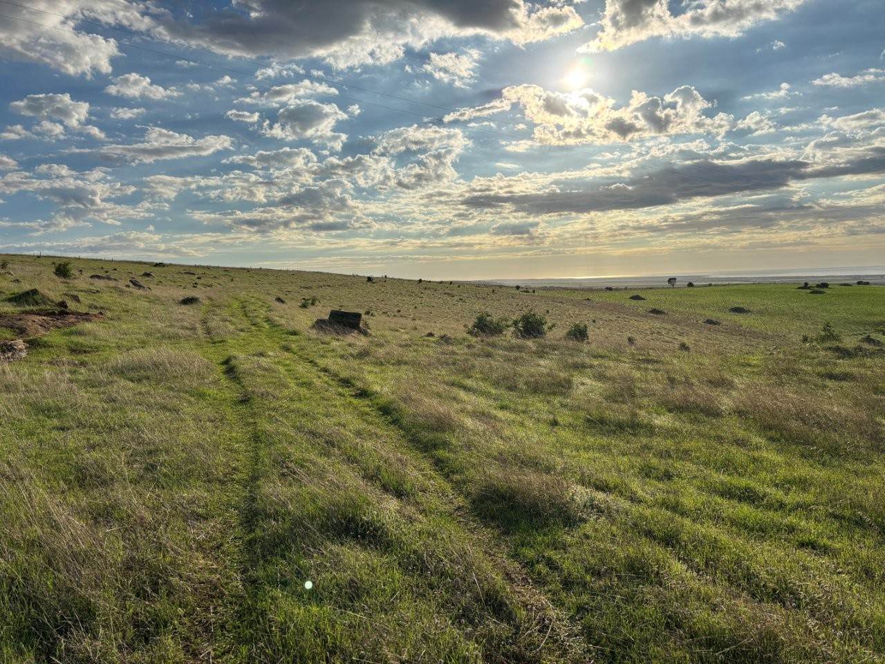 Lot 42,  Harvey Well Road, Tumby Bay For Sale by Farmbuy.com - image 18