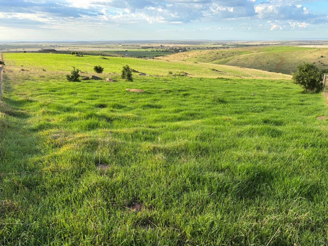 Lot 42,  Harvey Well Road, Tumby Bay For Sale by Farmbuy.com - image 4