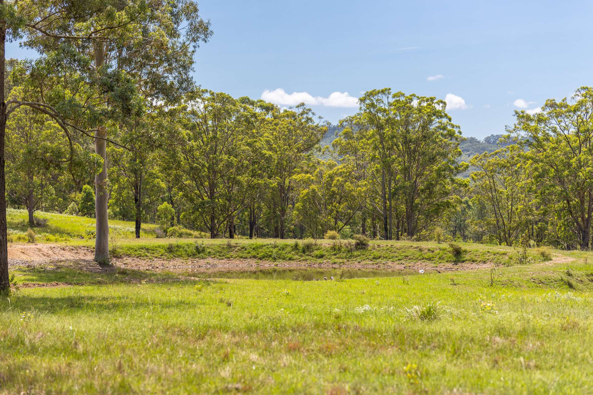 30 Wynters Road, Burrell Creek For Sale by Farmbuy.com - image 8