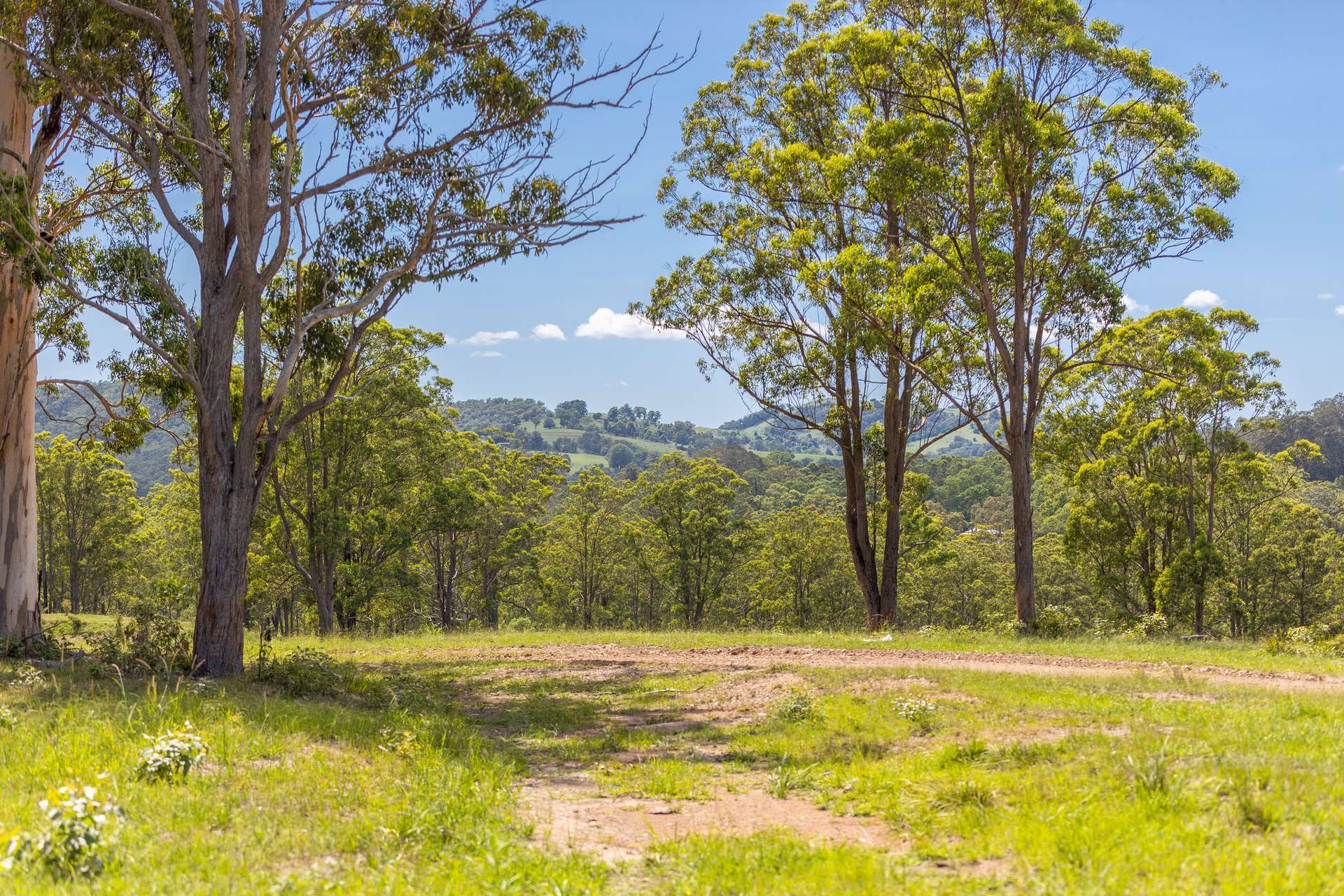 30 Wynters Road, Burrell Creek For Sale by Farmbuy.com - image 5