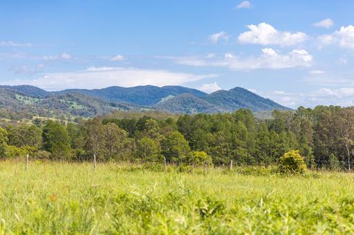 Farm For Sale - NSW - Burrell Creek - 2429 - Burrell Creek Hideaway 