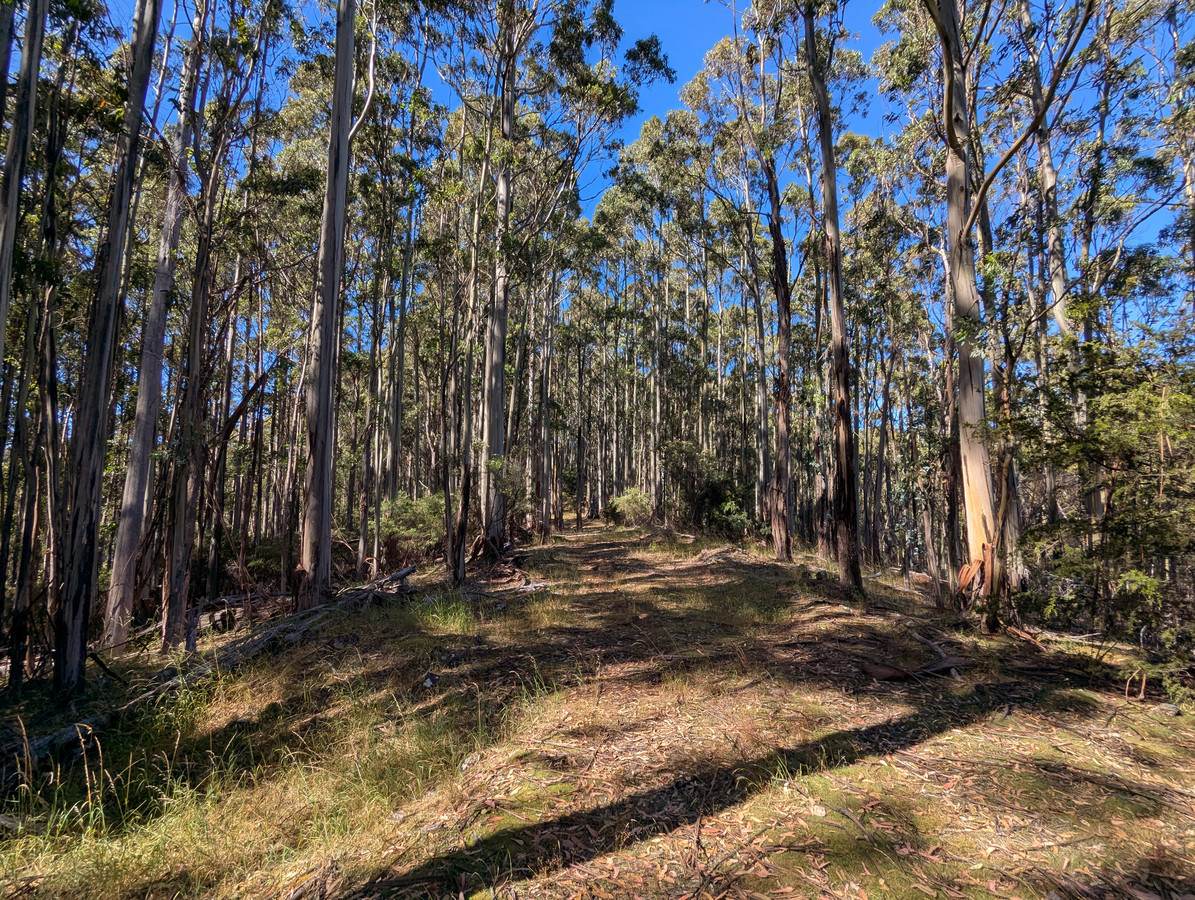 Lot 3,  Nicholls Rivulet Road, Nicholls Rivulet For Sale by Farmbuy.com - image 2