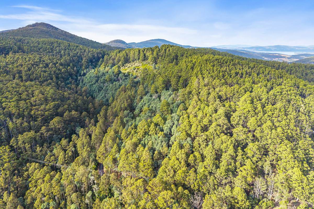 Lot 3,  Nicholls Rivulet Road, Nicholls Rivulet For Sale by Farmbuy.com - image 10