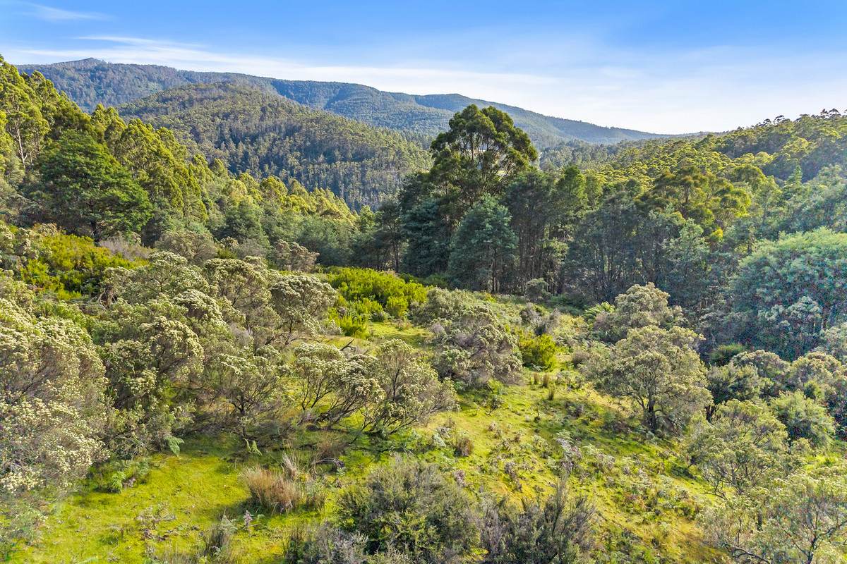 Lot 3,  Nicholls Rivulet Road, Nicholls Rivulet For Sale by Farmbuy.com - image 1