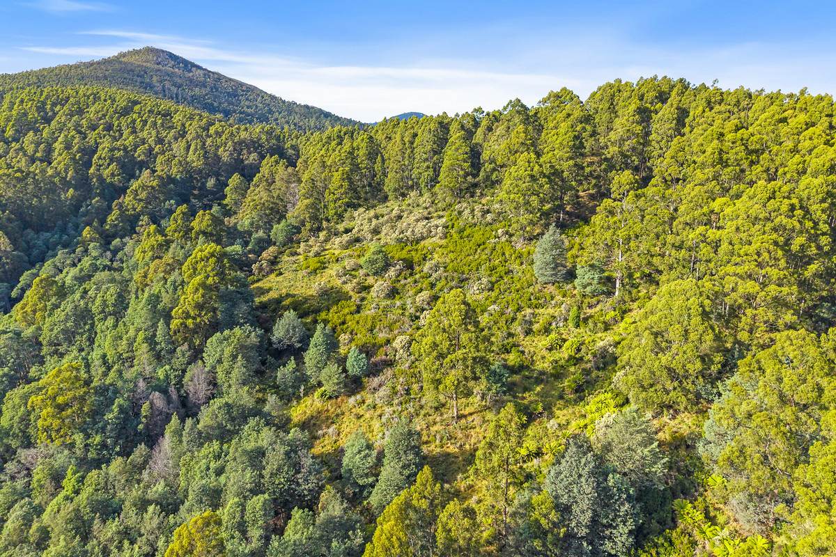 Lot 3,  Nicholls Rivulet Road, Nicholls Rivulet For Sale by Farmbuy.com - image 6