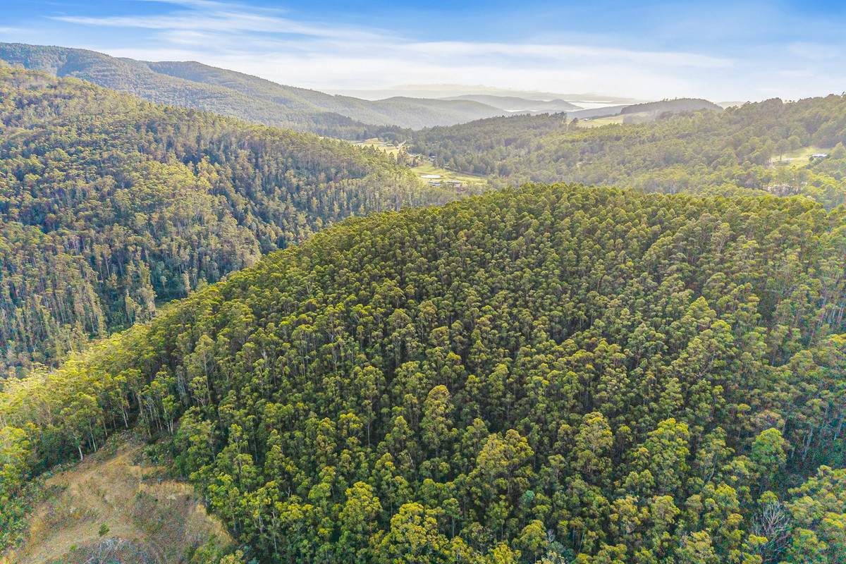 Lot 3,  Nicholls Rivulet Road, Nicholls Rivulet For Sale by Farmbuy.com - image 13