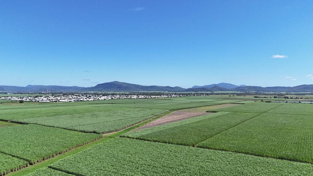 132 Stayts Road, Marian Auction by Farmbuy.com - image 6