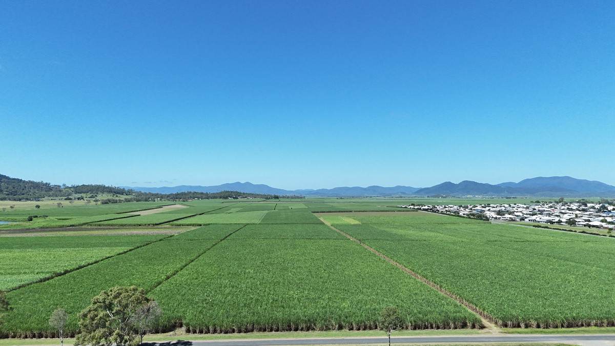 132 Stayts Road, Marian Auction by Farmbuy.com - image 5