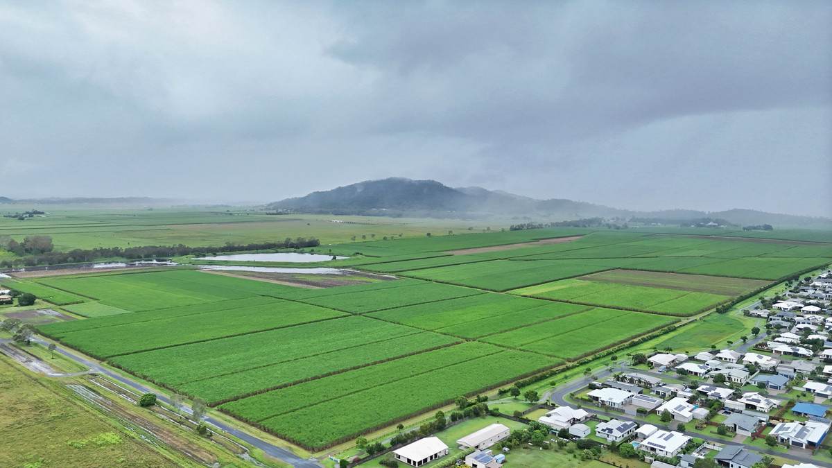 132 Stayts Road, Marian Auction by Farmbuy.com - image 3