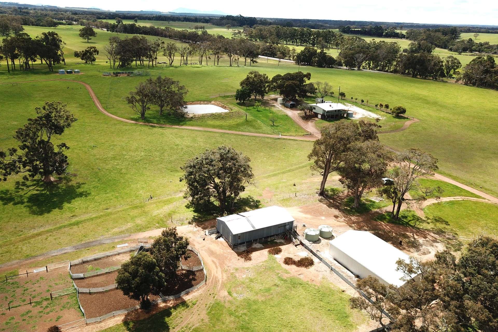 2935 Chester Pass Road, Napier For Sale by Farmbuy.com - image 5