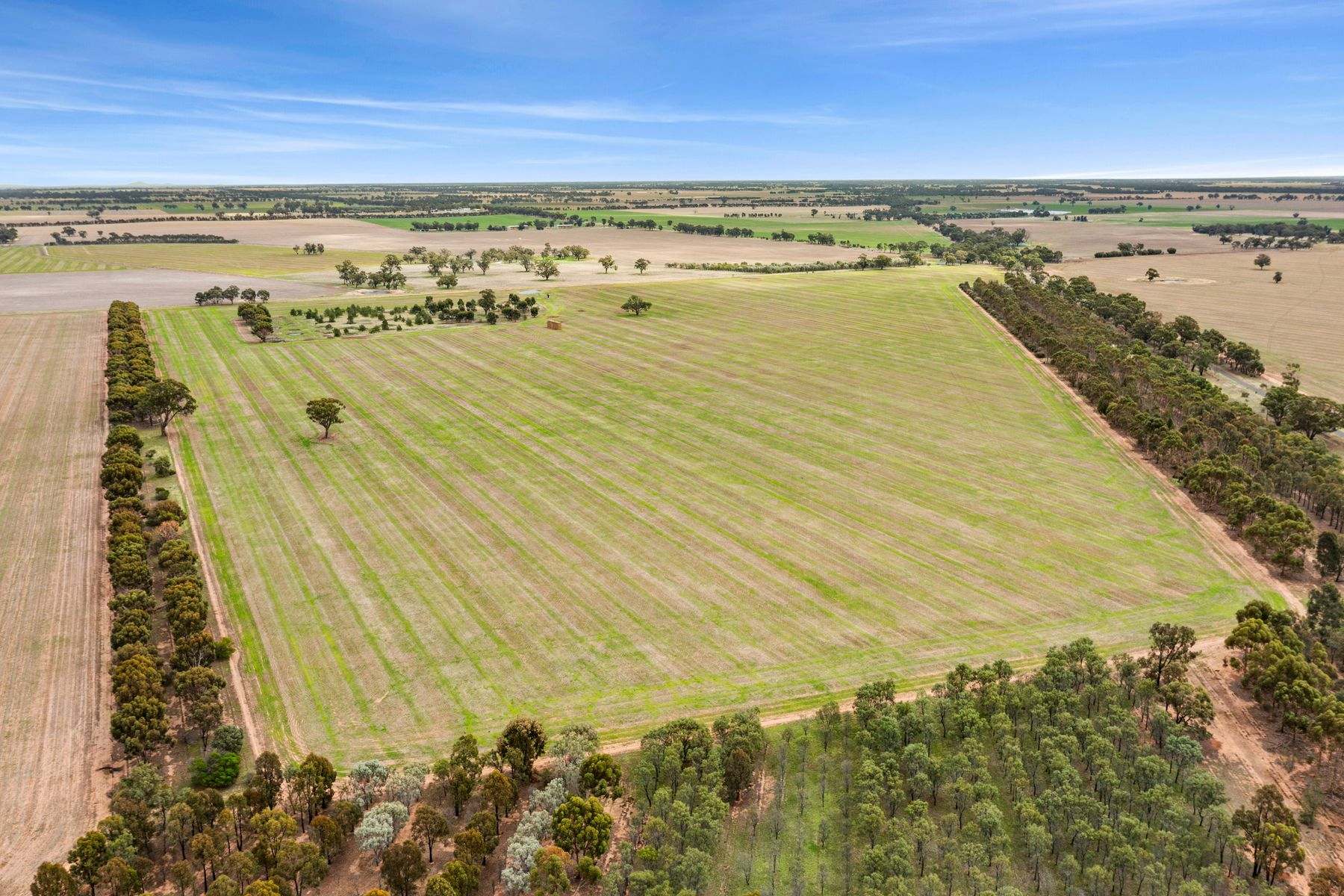 CA 57B Elmore-Minto Road, Elmore For Sale by Farmbuy.com - image 4
