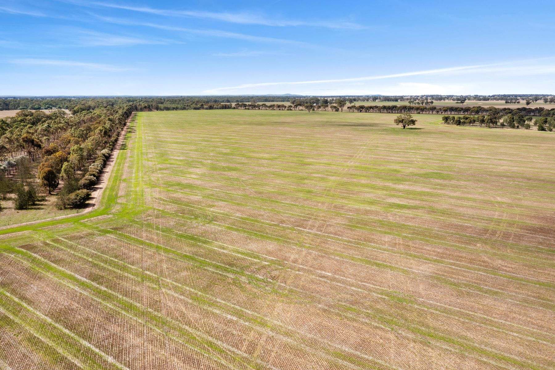 CA 57B Elmore-Minto Road, Elmore For Sale by Farmbuy.com - image 3