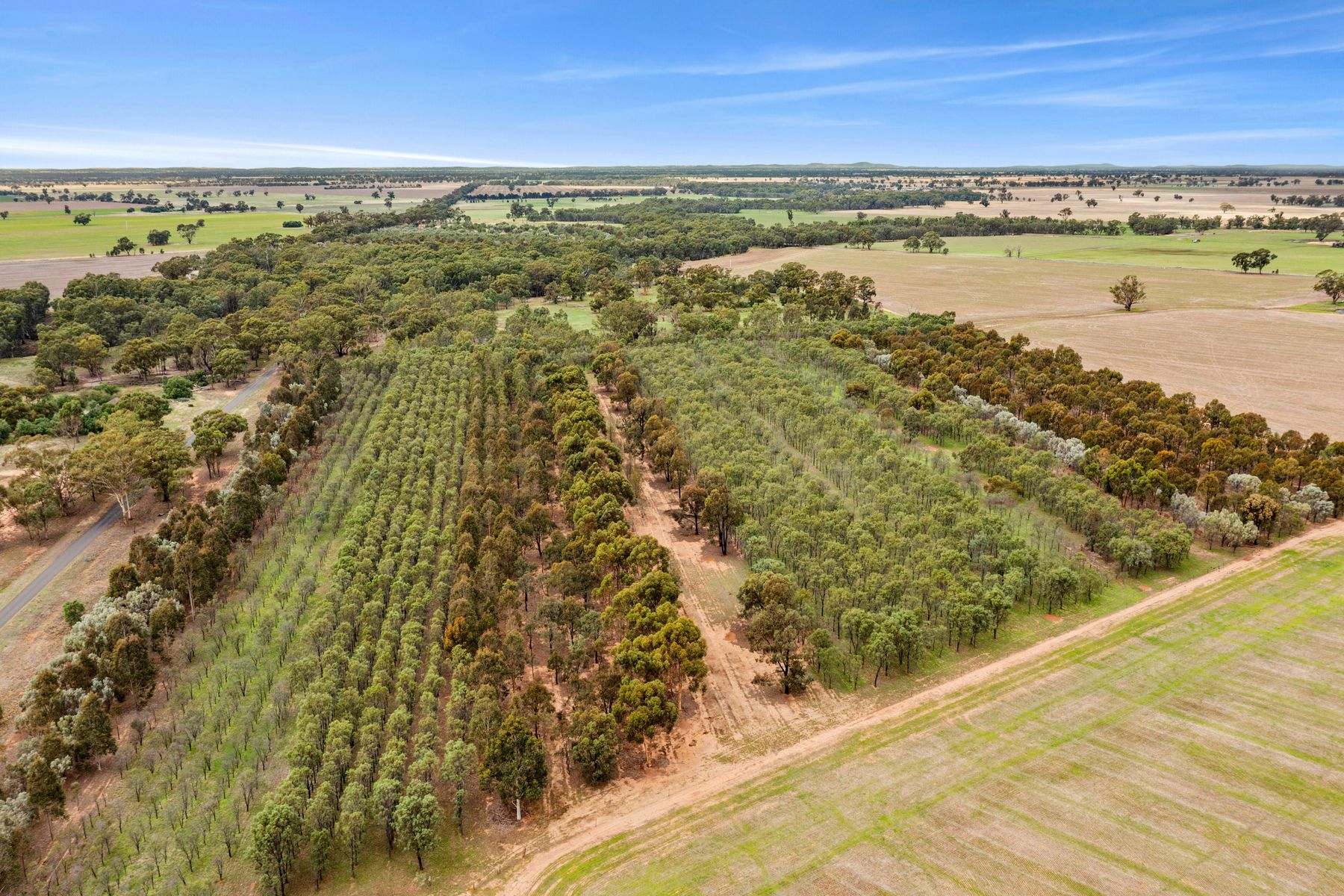 CA 57B Elmore-Minto Road, Elmore For Sale by Farmbuy.com - image 12