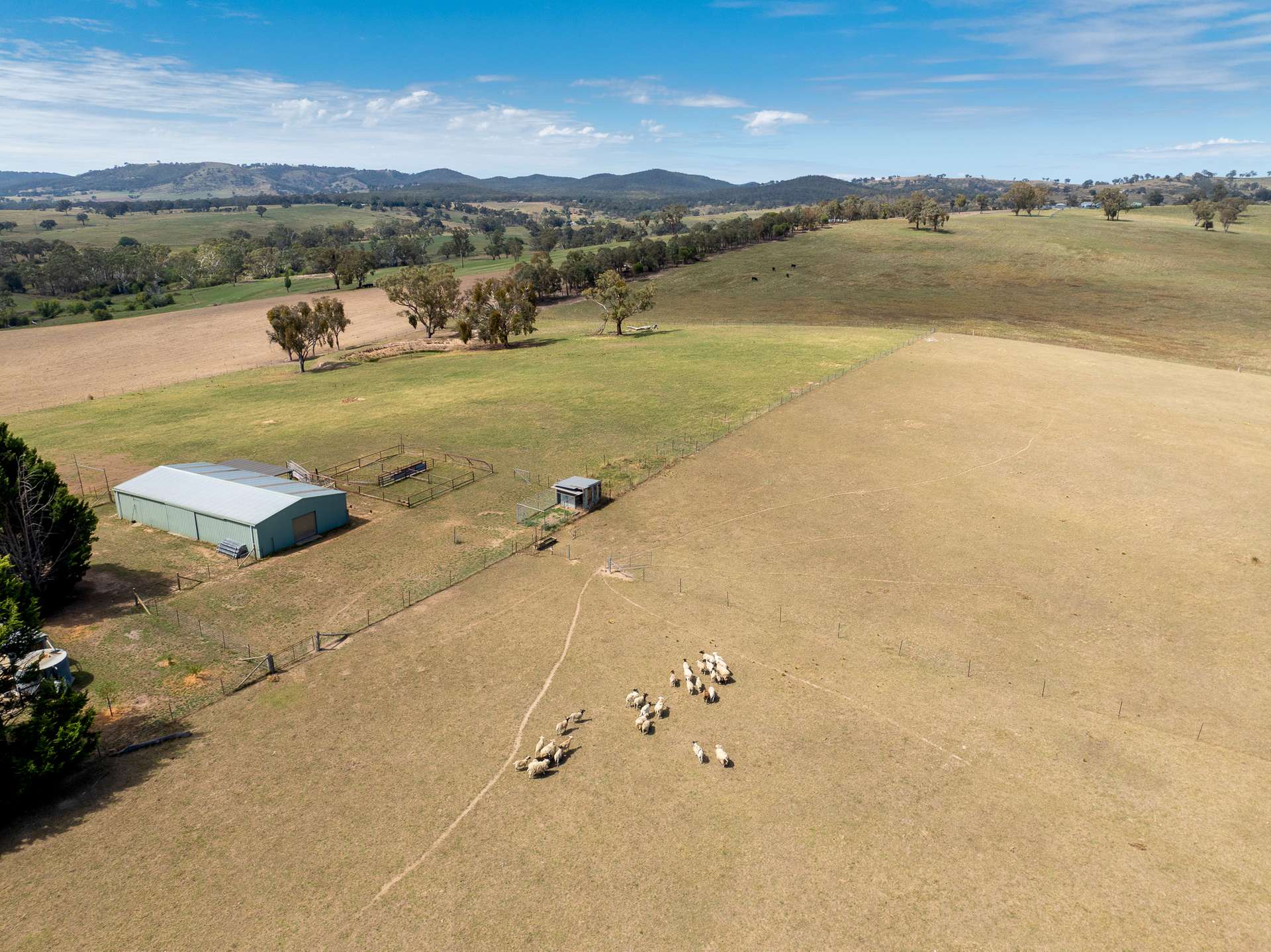 79 Bloom Hill Road, O'Connell Auction by Farmbuy.com - image 30
