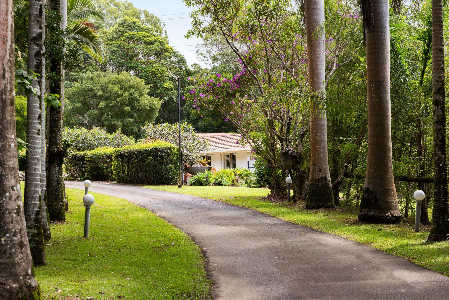 239 Dath Henderson Road, Tinbeerwah Auction by Farmbuy.com - image 6