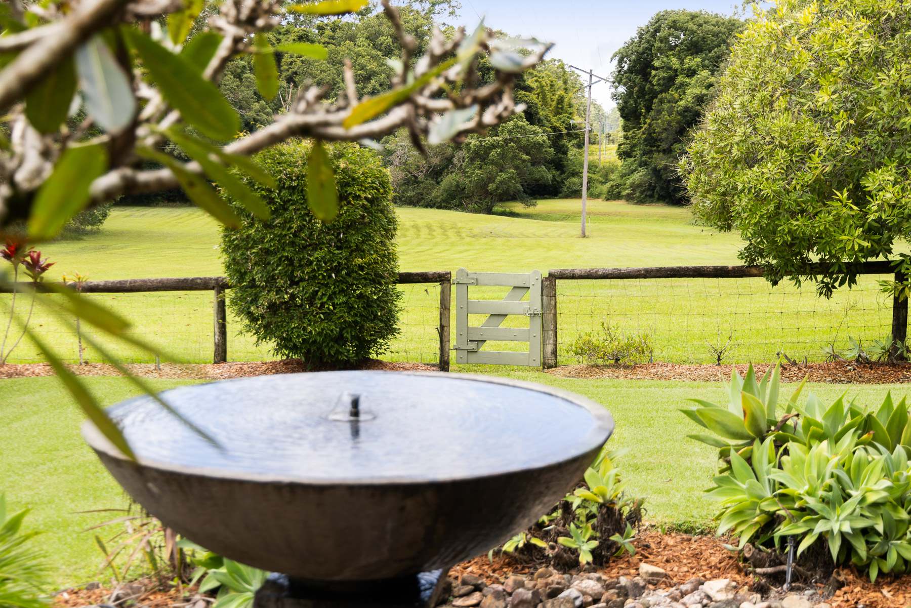 239 Dath Henderson Road, Tinbeerwah Auction by Farmbuy.com - image 31