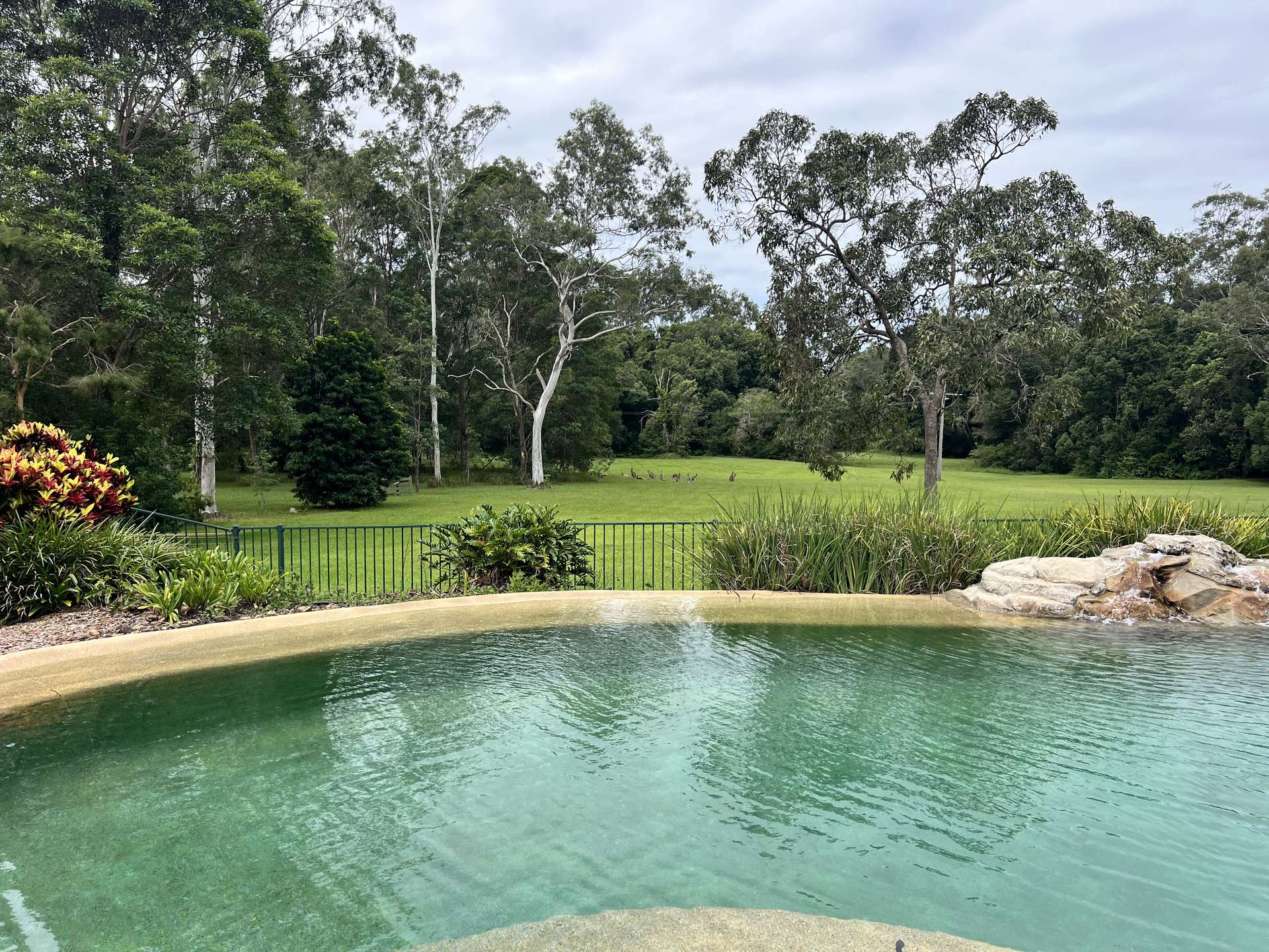 239 Dath Henderson Road, Tinbeerwah Auction by Farmbuy.com - image 16