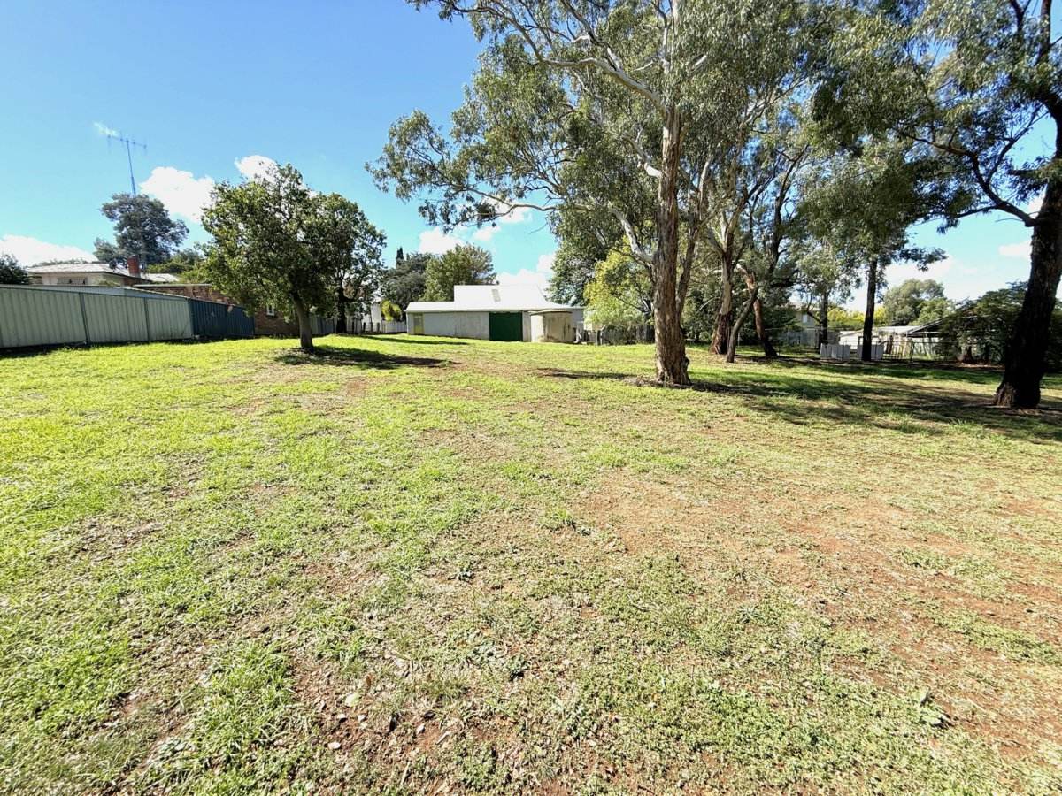 43 Elizabeth Street, Young For Sale by Farmbuy.com - image 19
