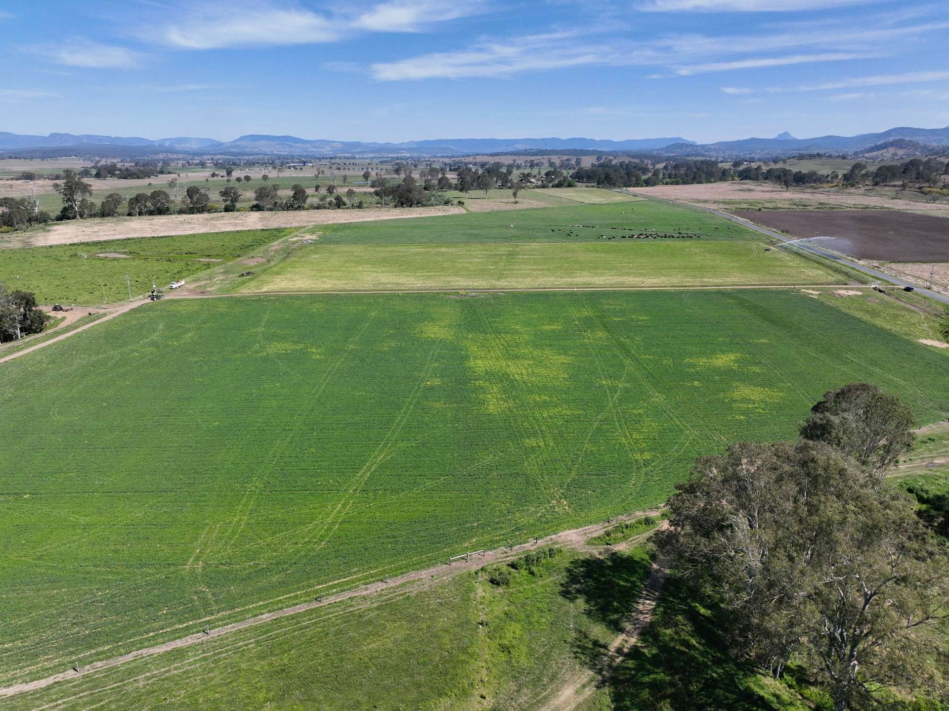 288 Round Mountain Road, Laravale For Sale by Farmbuy.com - image 7