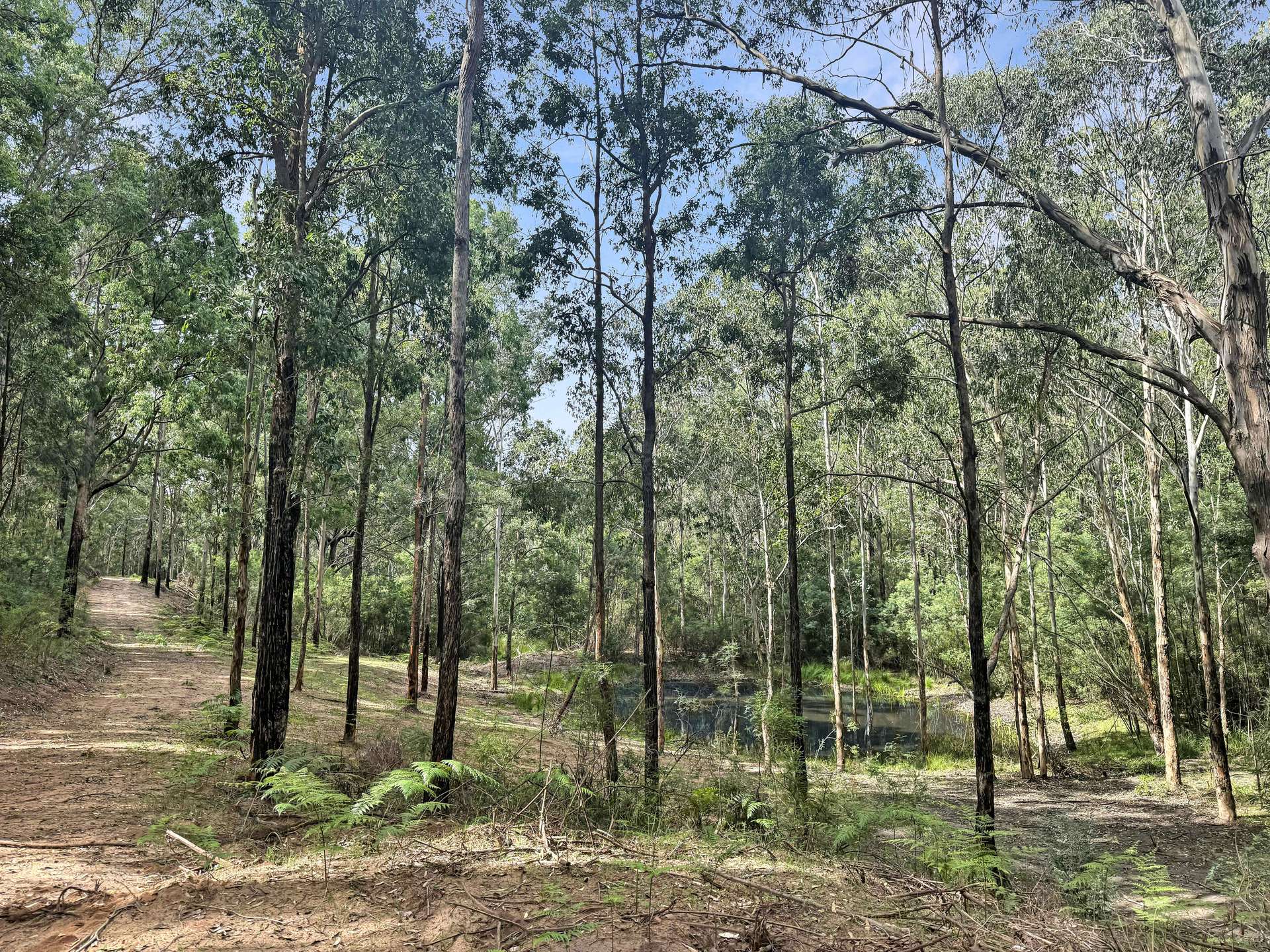 112 Finchley Track, Laguna For Sale by Farmbuy.com - image 4